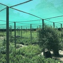 MALLA RASCHELL VERDE  83GR 80% SOMBRA 4,2 X 50 MT 210m2